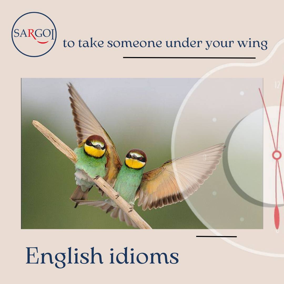 To take someone under your wing