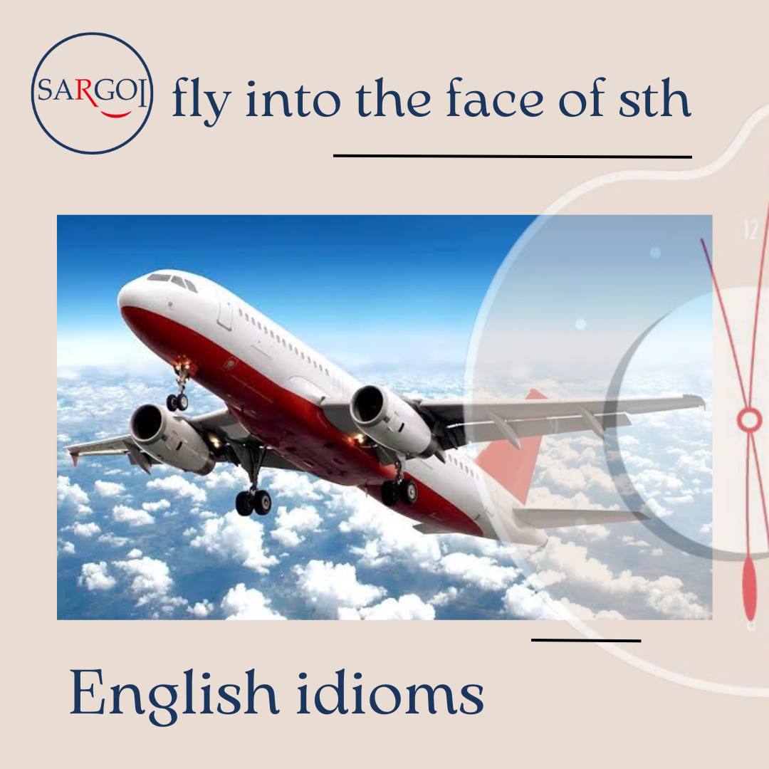 Fly into the face of something 