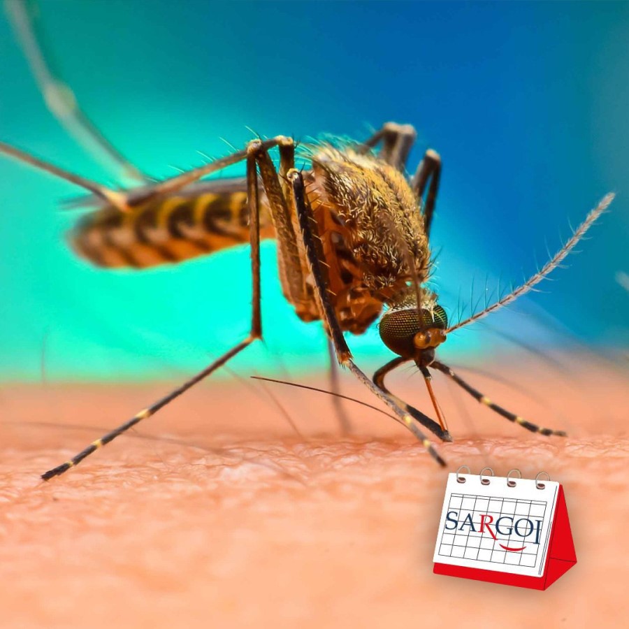 It's August 20th: Mosquito Day 