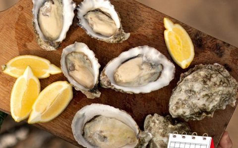 It's August 5th: Oyster Day