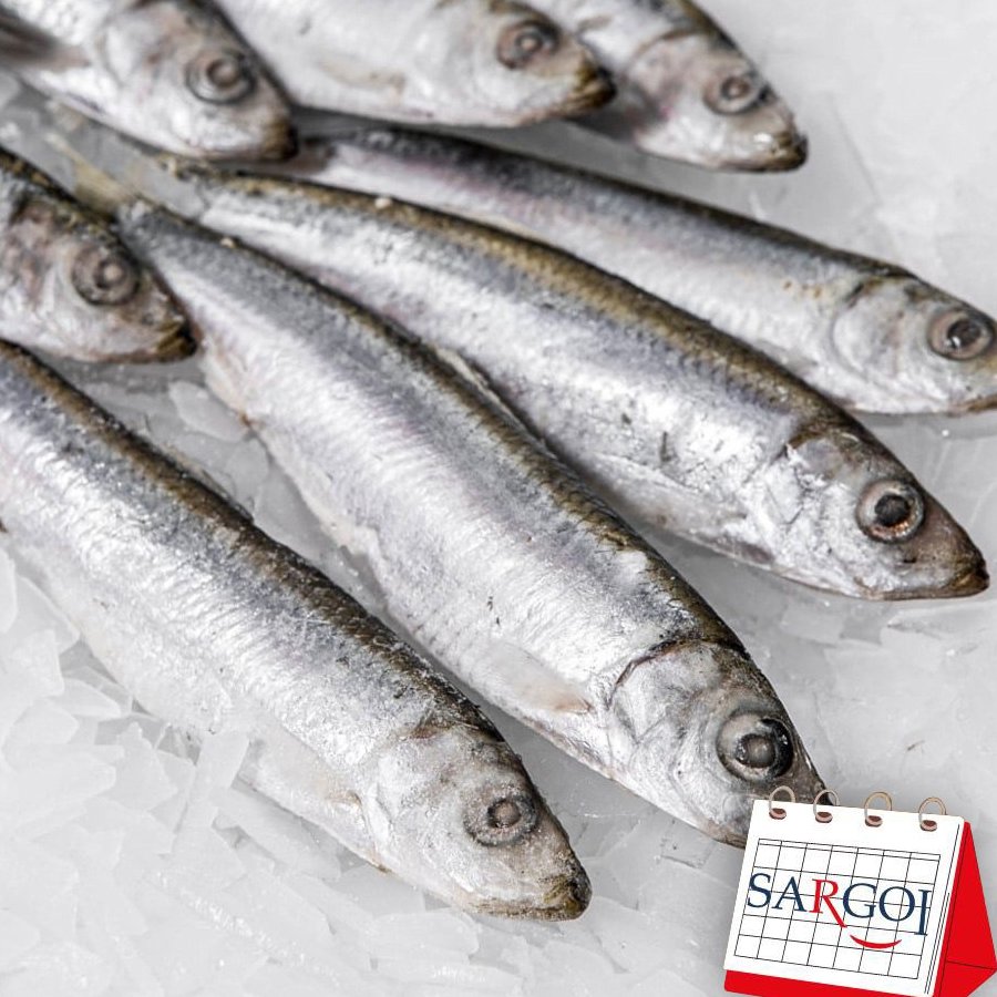 It's November 24th and it's Sardines Day