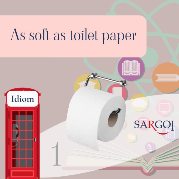 Toilet Paper Day1