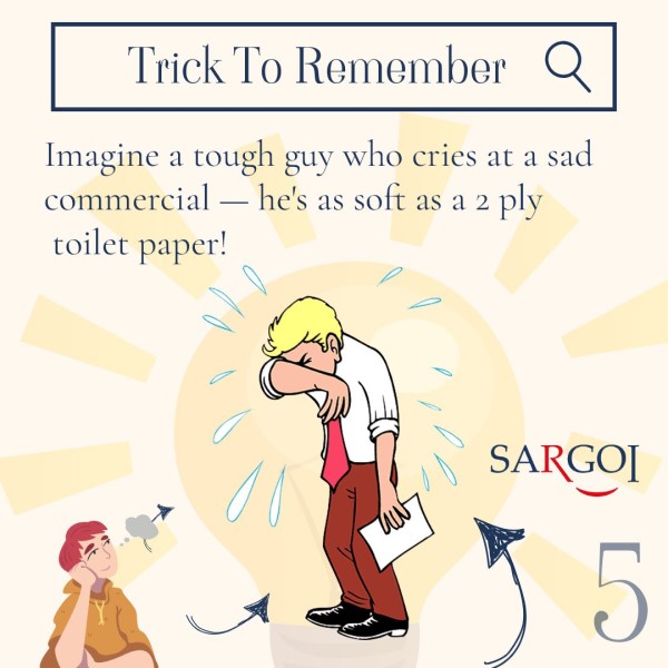 Toilet Paper Day5