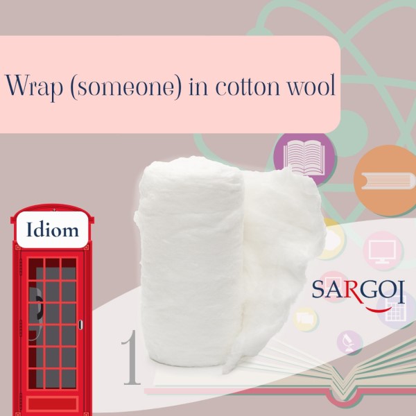 Cotton Day1