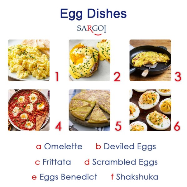Egg Day1