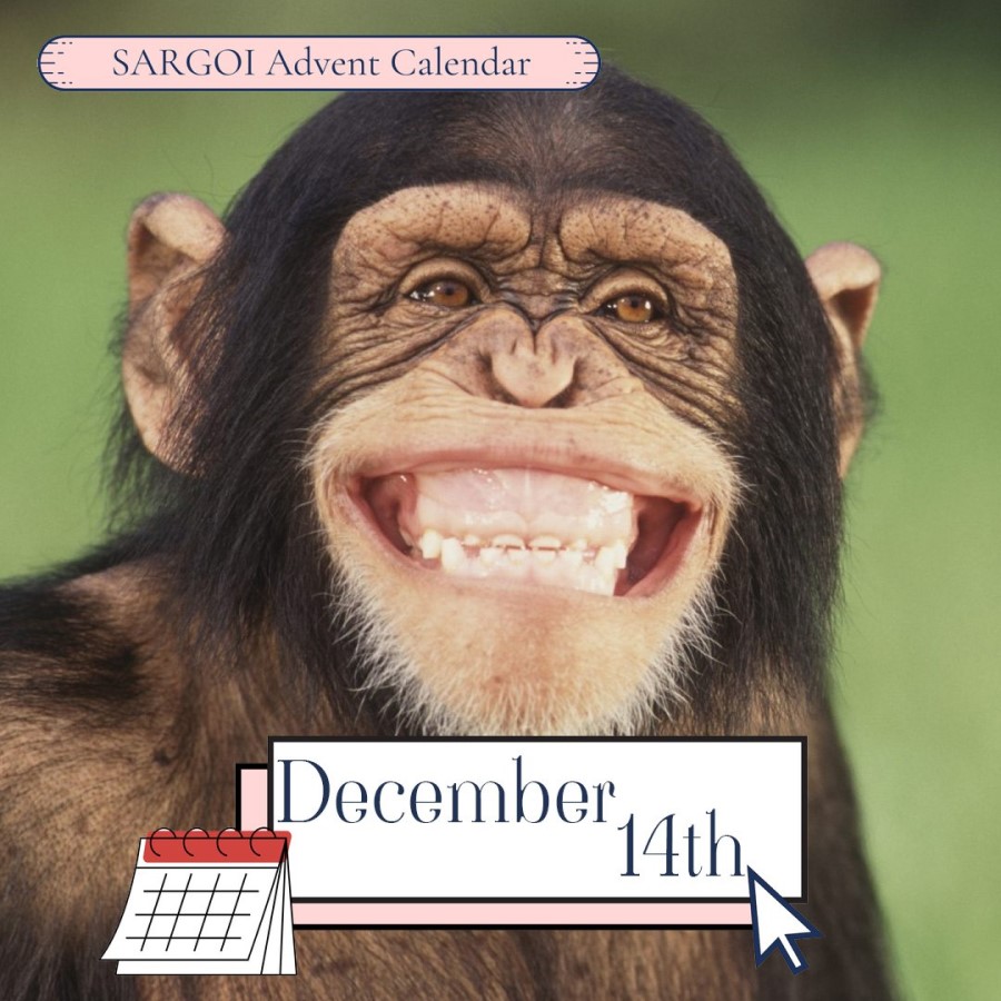 Monkey Day 