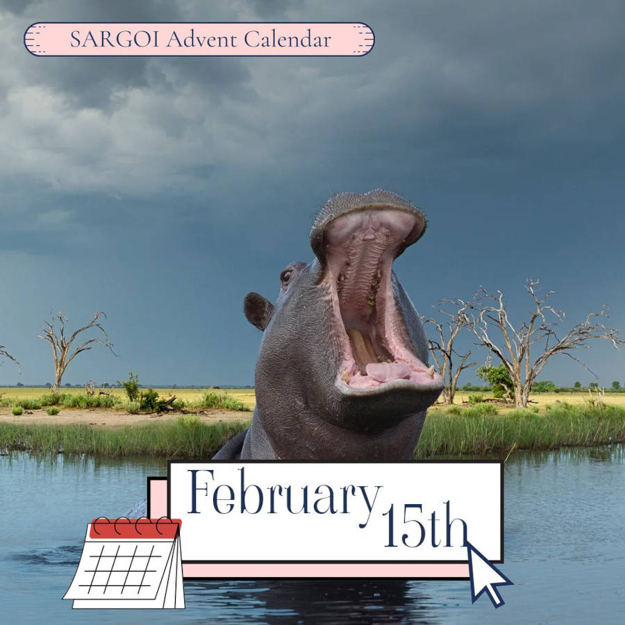 World Hippo Day 