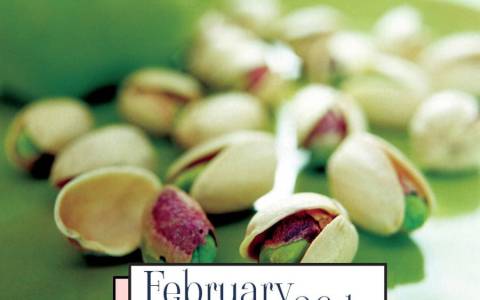 World Pistachio Day 