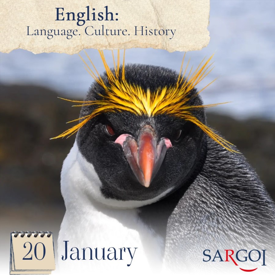 Penguin Day