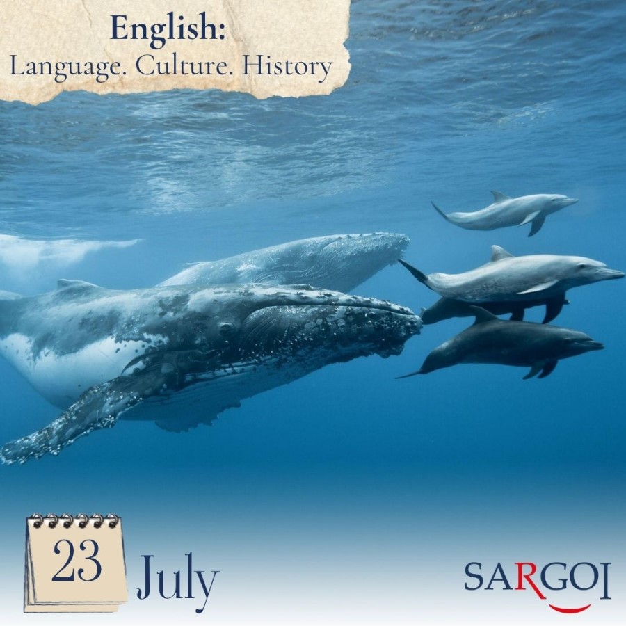 World Whale and Dolphin Day