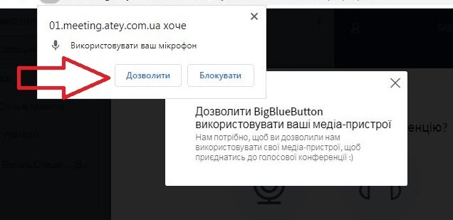 У випадку запиту на дозвіл до доступу до вашого мікрофона виберіть "Дозволити".