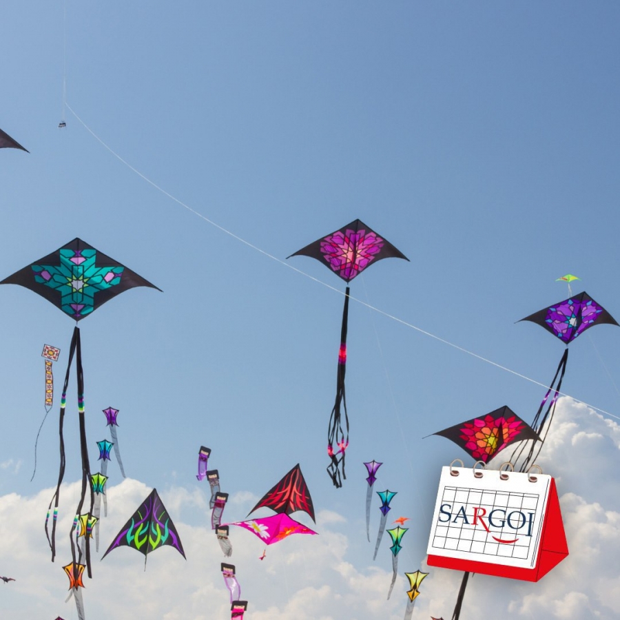 It's January 14th: Kite Day