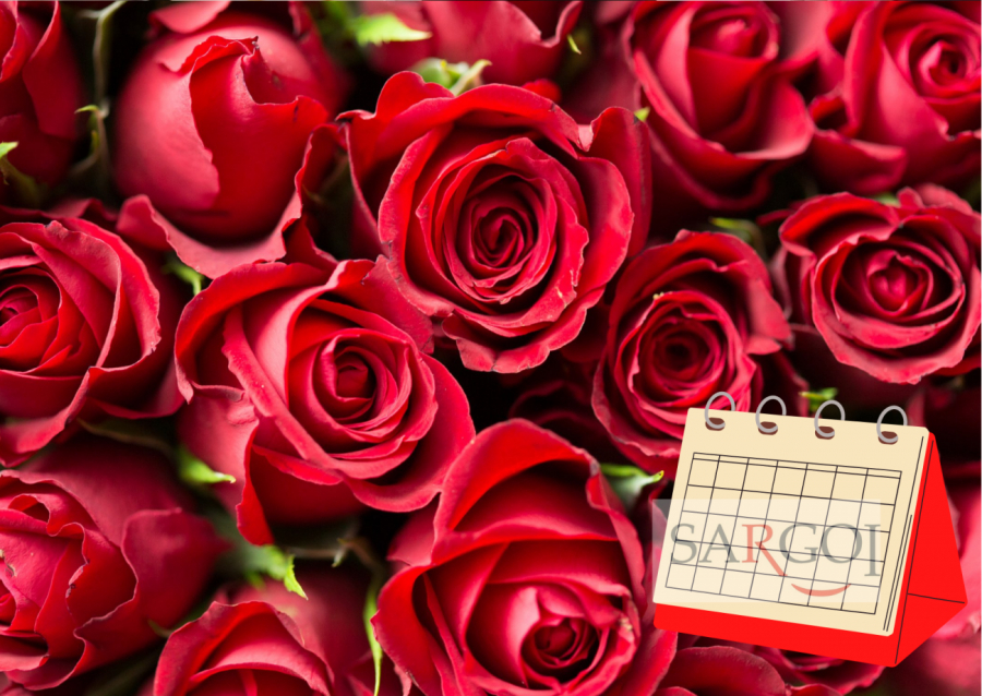 February 7: Rose Day