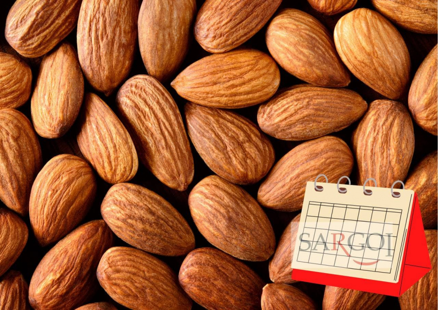 February 16: National Almond Day