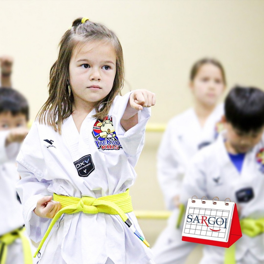 It's September 4th: Taekwondo Day