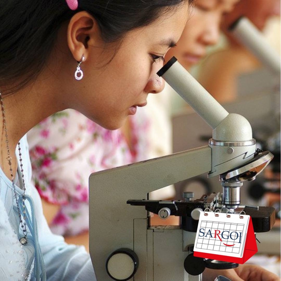 It’s February 11th: Day of Women and Girls in Science