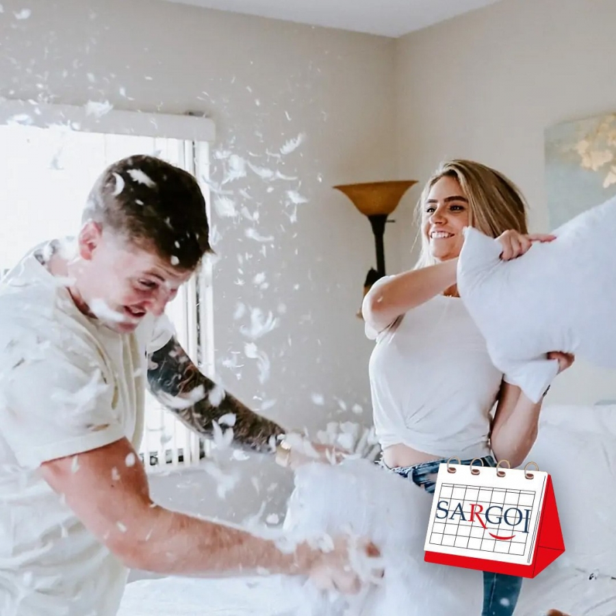 It's April 6th: Pillow Fight Day