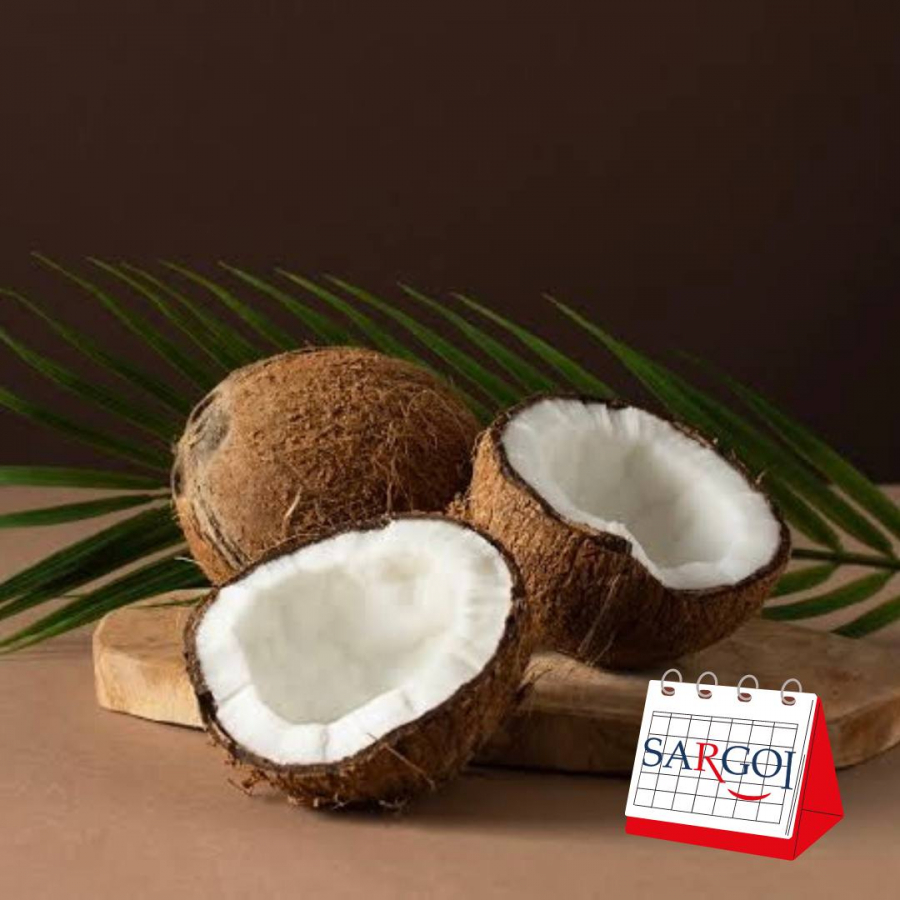 It’s September 2nd: World Coconut Day