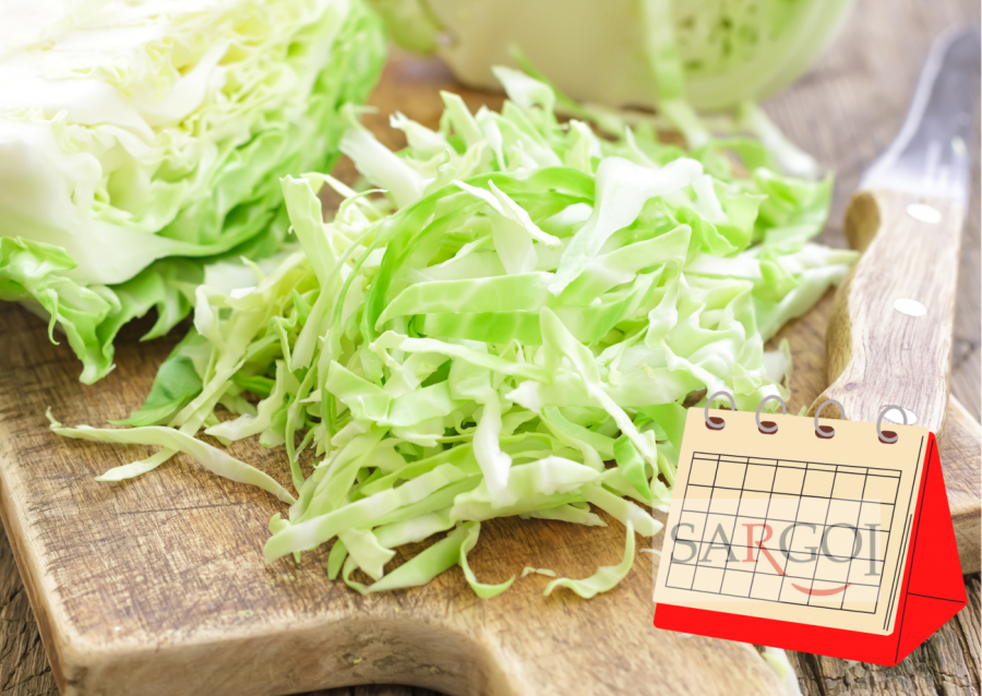 February 17: National Cabbage Day