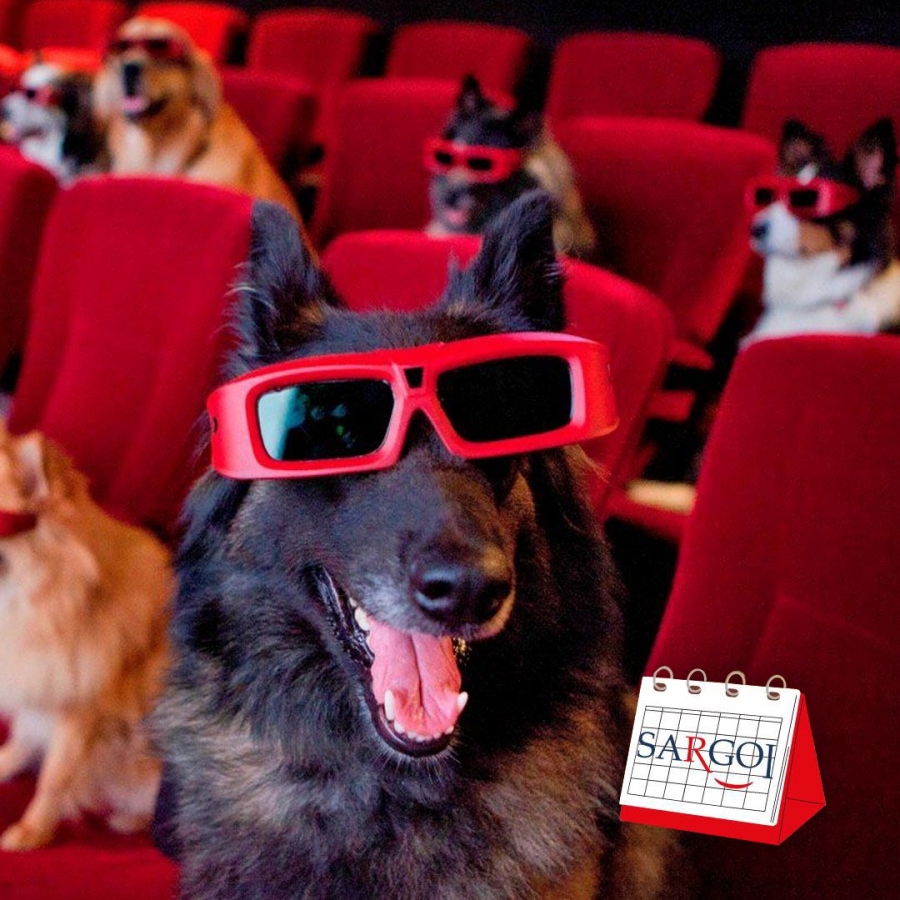 It's November 6th: The Dog Film Festival Day