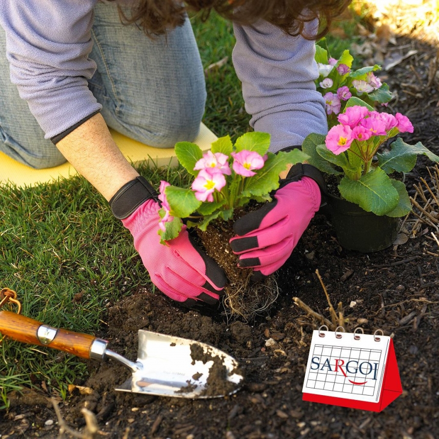 It's March 12th: Plant a Flower Day