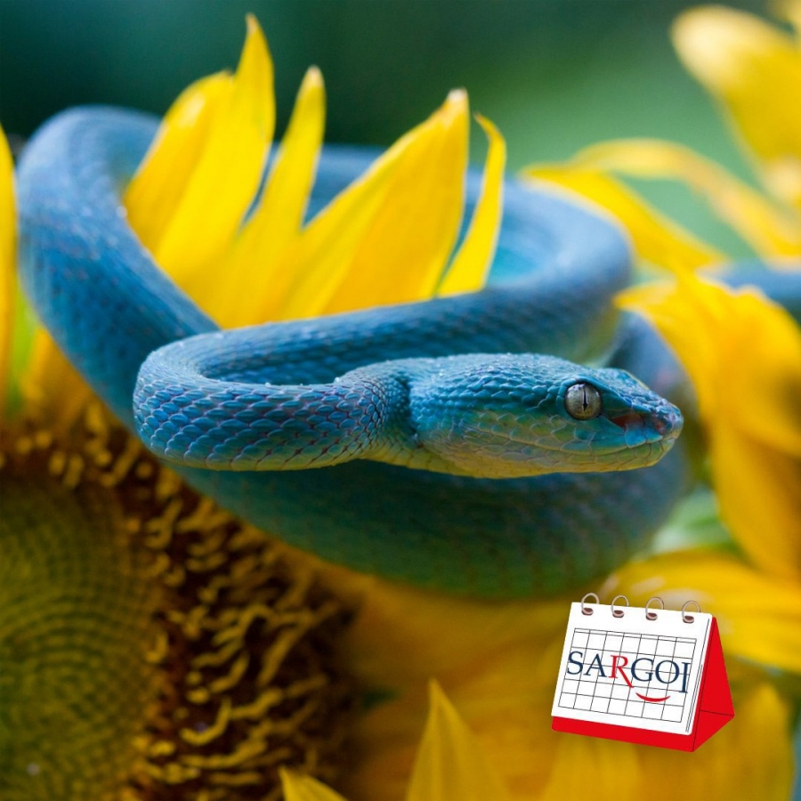 It's July 16th: World Snake Day