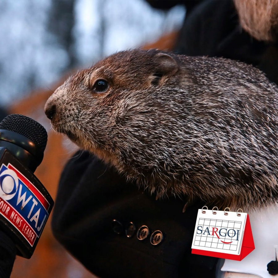 It's February 2nd: Groundhog Day