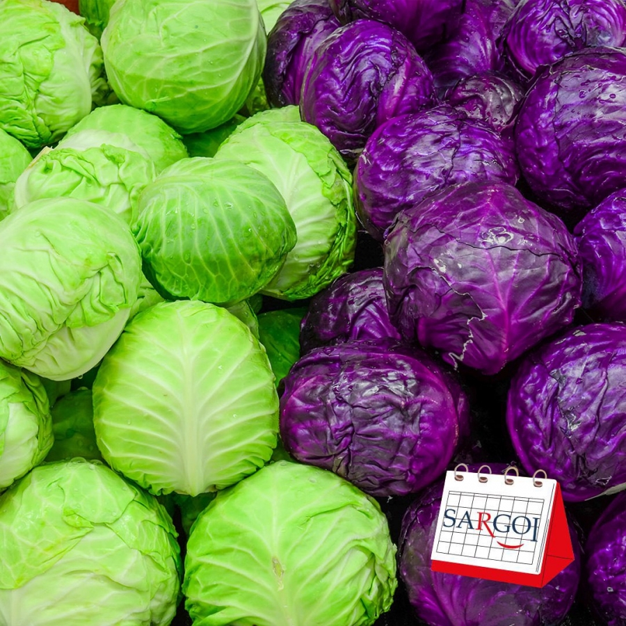 It's February 17th: Cabbage Day