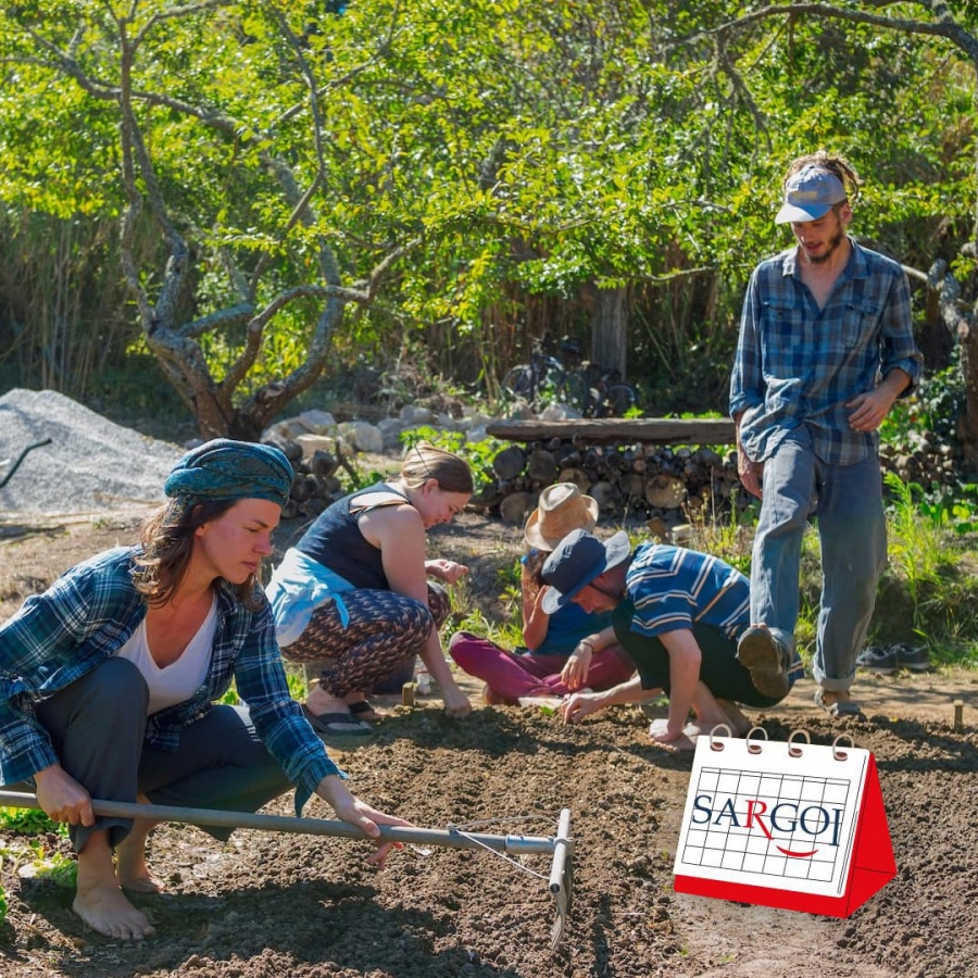 It's May 7th: Permaculture Day