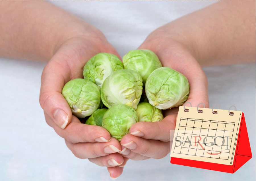 January 31: Eat Brussels Sprouts Day